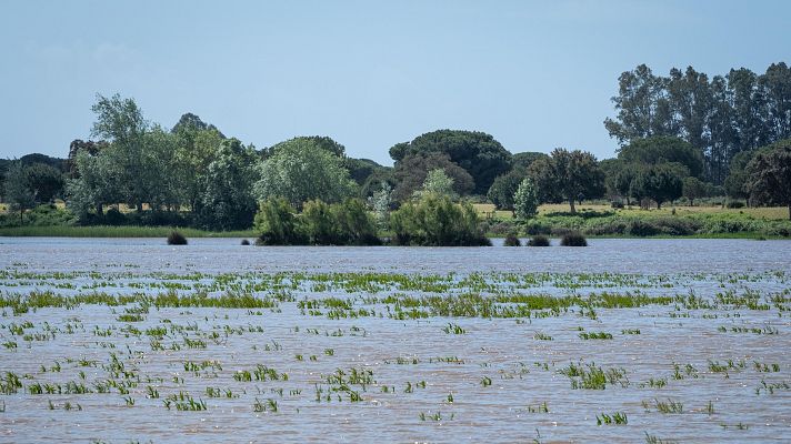 El tiempo - Lluvias en el oeste peninsular y Canarias, con fuerte bajada de temperaturas en el noroeste