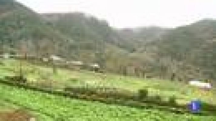 Telediario 1 - "Hija" de todo el pueblo