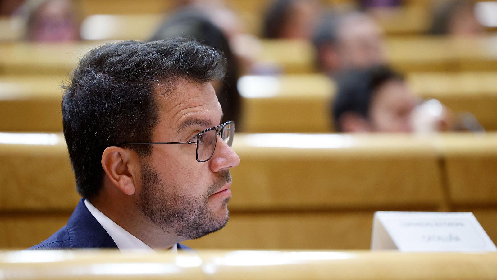 Aragonès, en el Senado: "La amnistía es un paso necesario, pero no es el último"
