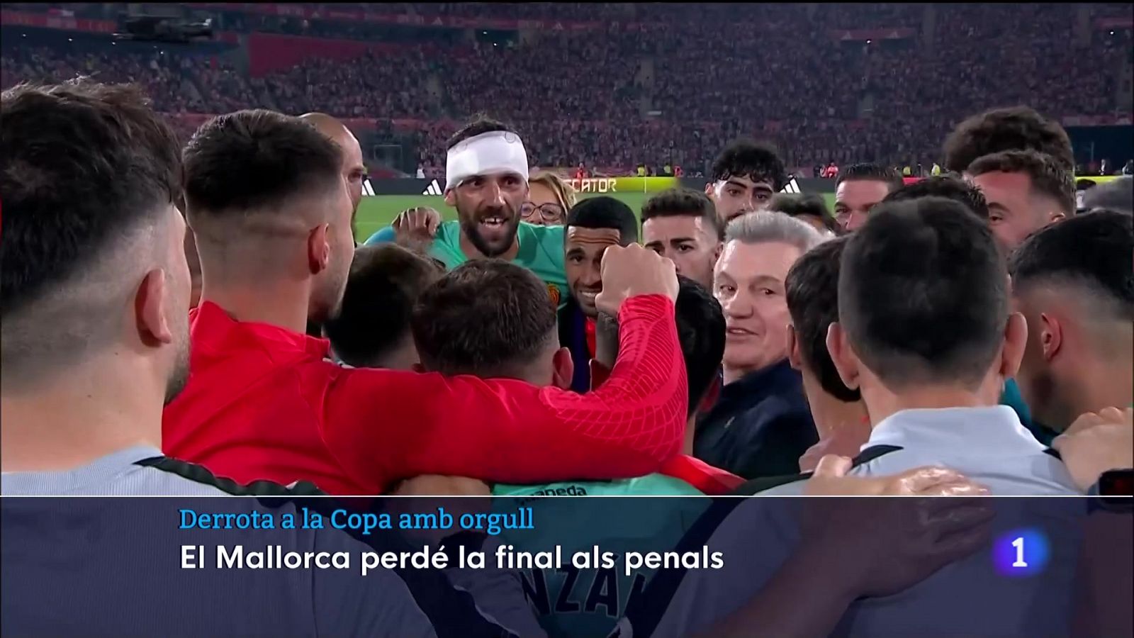 Finalistes de la Copa | Ver