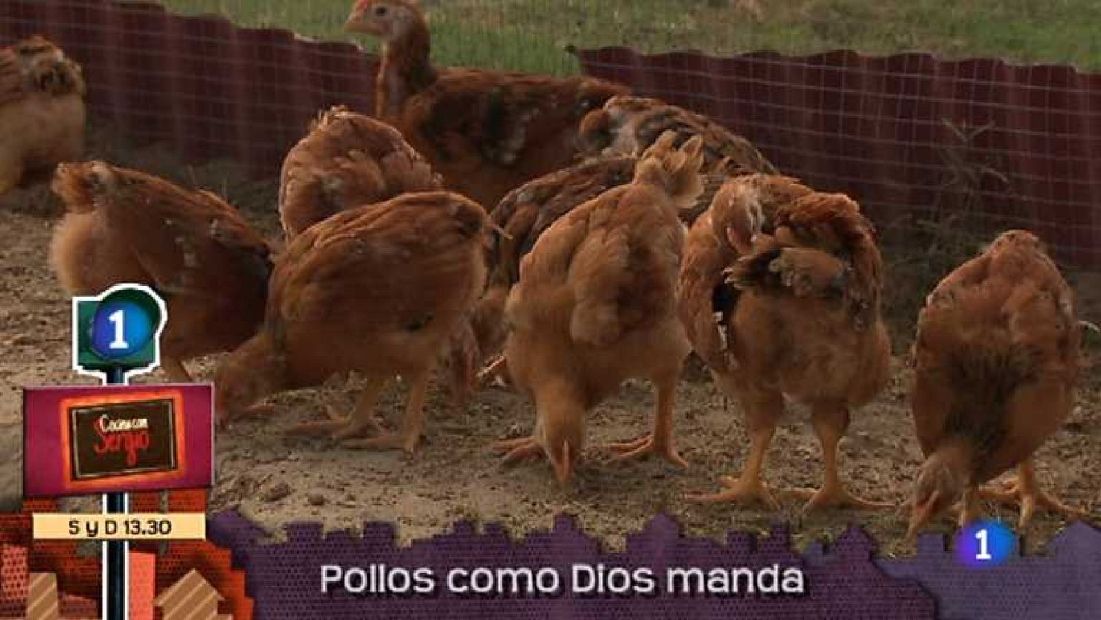 Lo que hay que ver - 08/12/12 - ver ahora