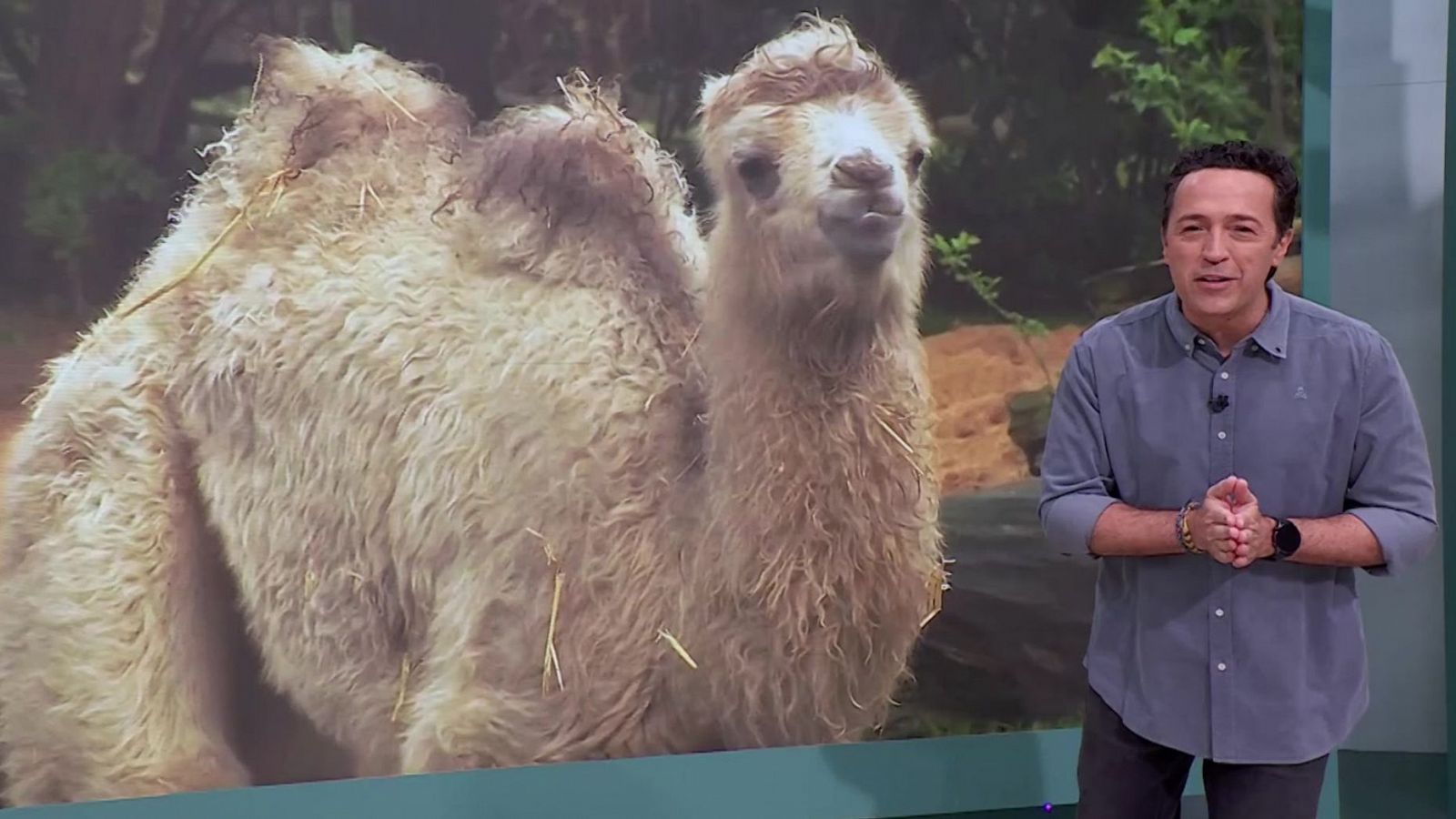 Aquí la Tierra - 08/04/24 - ver ahora