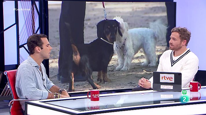 La aventura del Saber - Tomás Palomares. Ley de Bienestar Animal