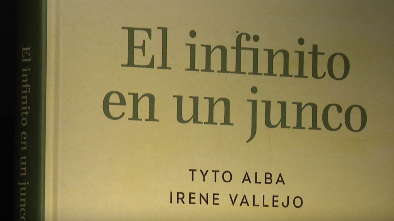 El ensayo de Irene Vallejo, 'El infinito en un junco', en cómic