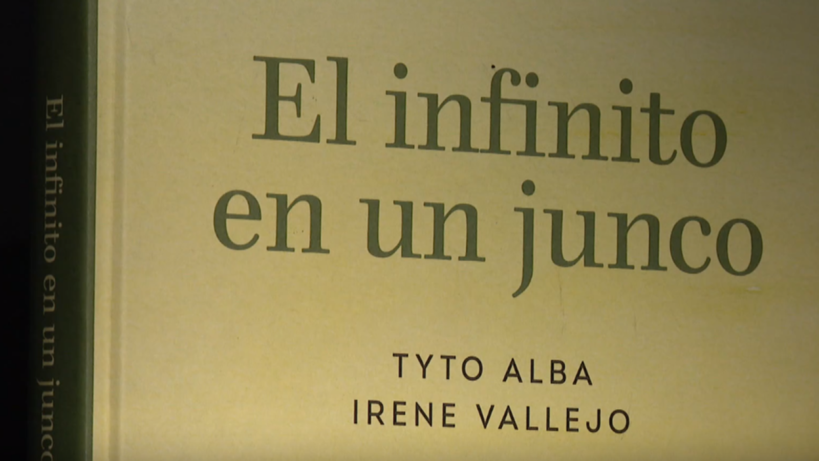 El ensayo de Irene Vallejo, 'El infinito en un junco', en cómic | Ver