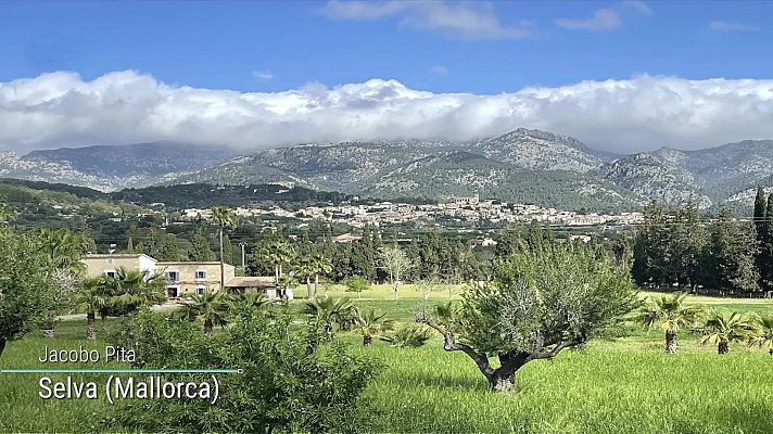 Posibilidad de chubascos localmente fuertes en el este de Cataluña. Acumulaciones significativas de nieve en el Pirineo y en la Cantábrica occidental