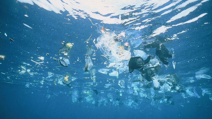 Alarma en los océanos: la contaminación amenaza a los mayores sumideros de carbono del planeta