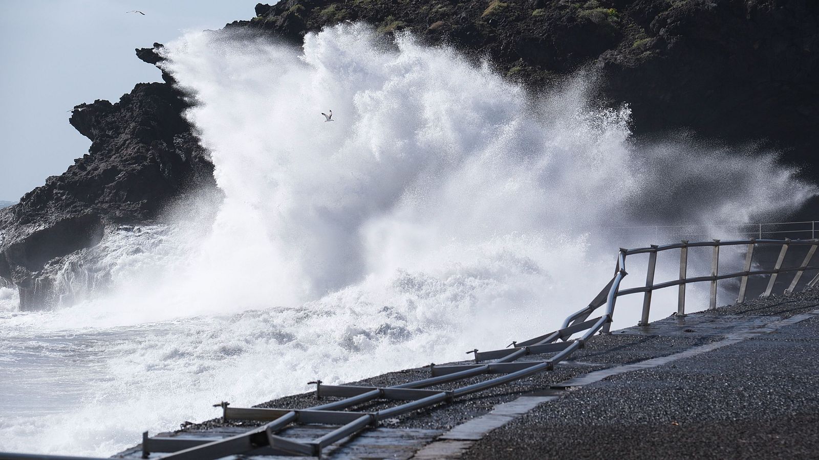 Fallece turista al caer al mar en Tenerife mientras hacía fotos | Ver
