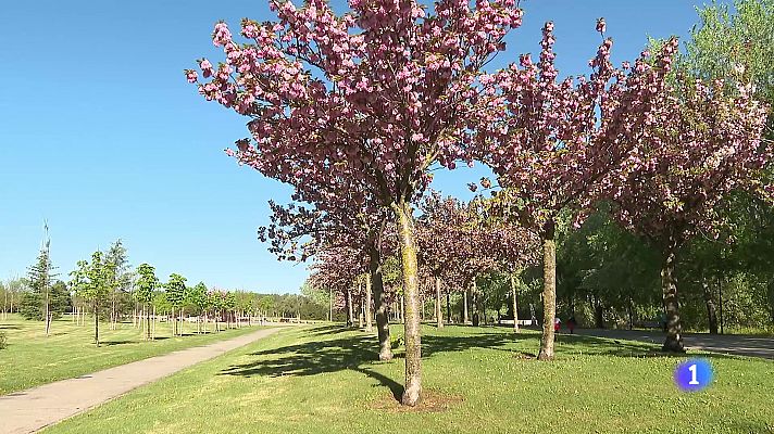 Informativo Telerioja - Informativo Telerioja 2 - 12-04-2024