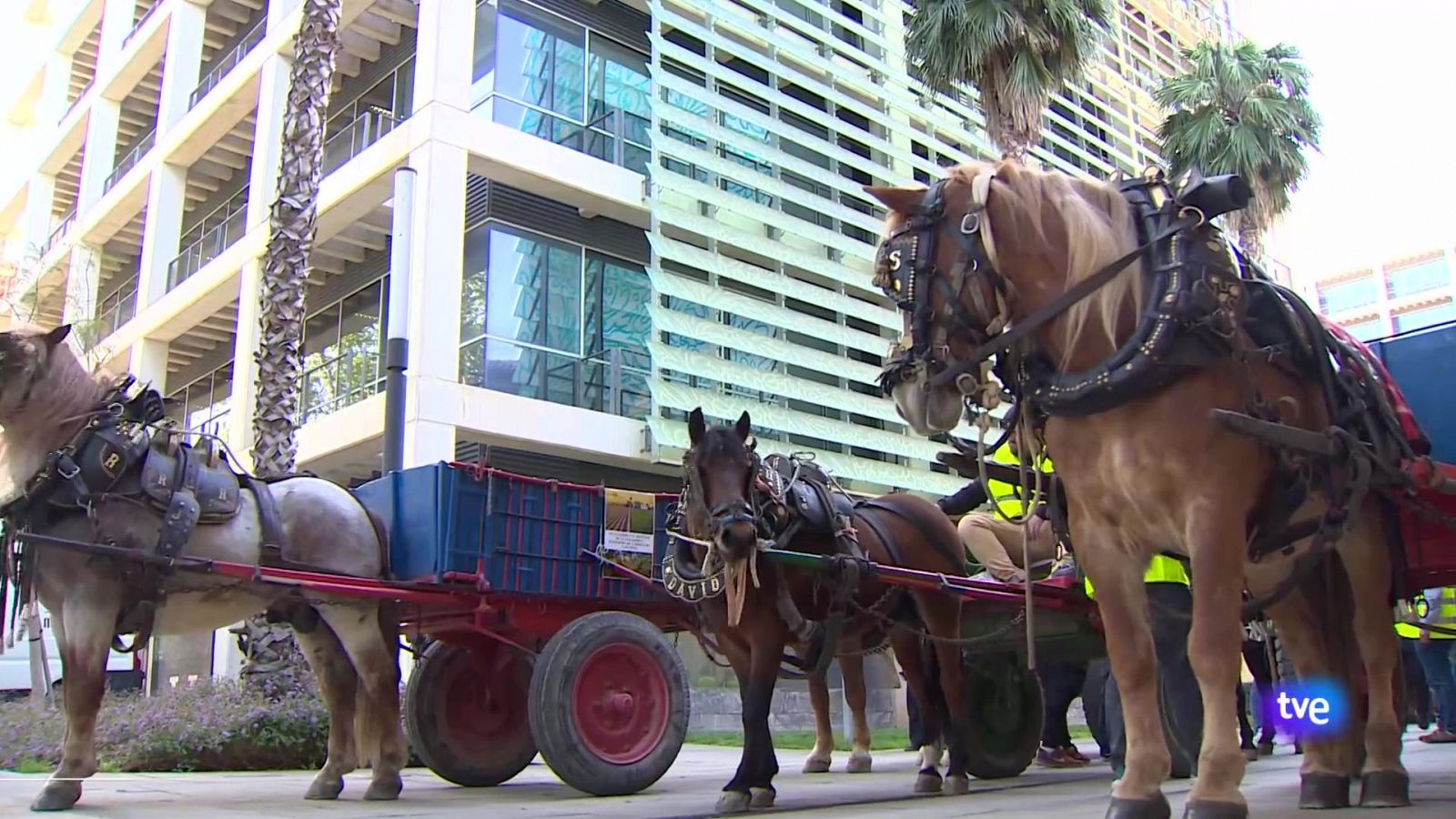 L'Informatiu de la Comunitat Valenciana 2 - 12/04/24 | Ver
