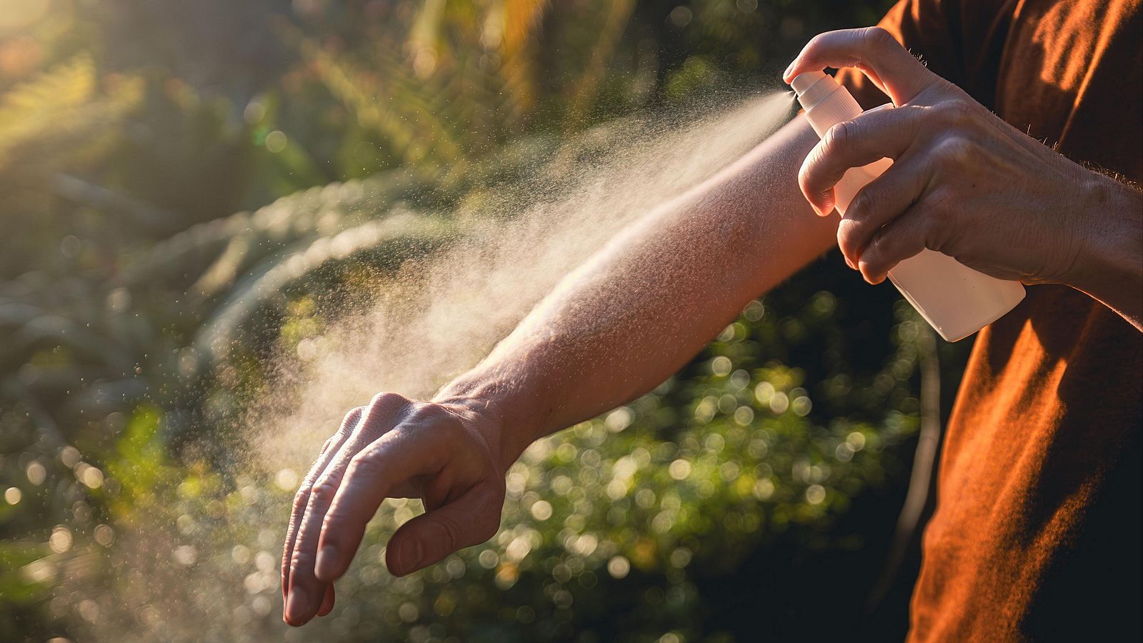 Aumentan la presencia cucarachas, mosquitos o garrapatas