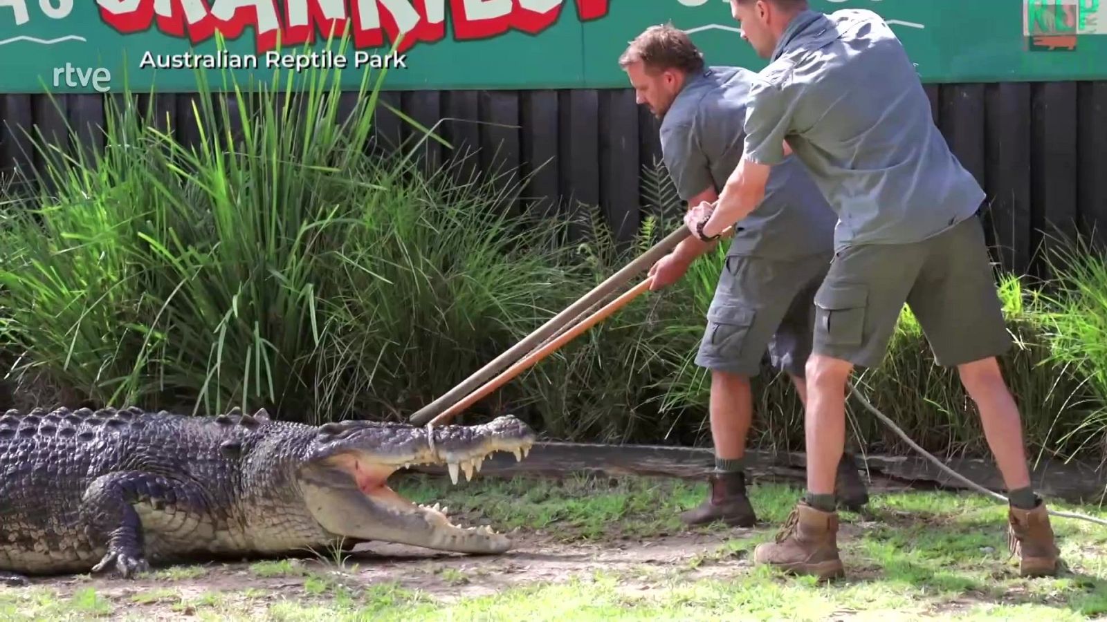 Aquí la Tierra - 12/04/24 - ver ahora