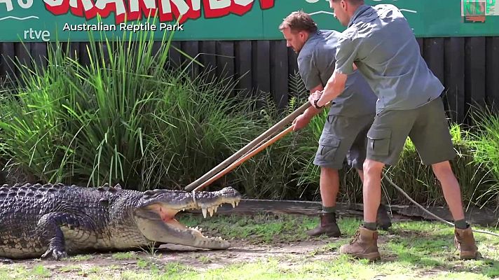 Aquí la Tierra - Aquí la Tierra - 12/04/24