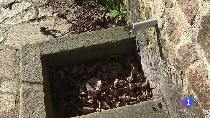 L'Informatiu - Les fonts naturals perden el 70% del cabal