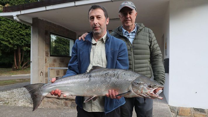 Telediario Fin de Semana - Un campanu de récord: 19.300 euros por un salmón de 8,2 kilos