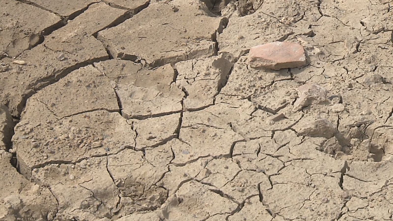 La Confederació Hidrogràfica del Xúquer no preveu restriccions d'aigua d'ús urbà en grans localitats - L'informatiu - Comunitat Valenciana | Ver