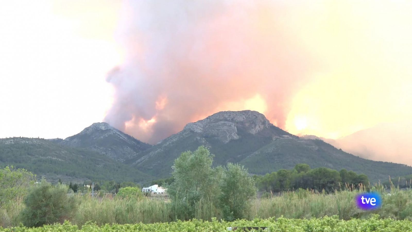 L'Informatiu de la Comunitat Valenciana 2 - 15/04/24 | Ver