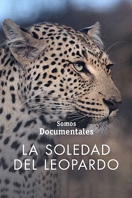 La soledad del leopardo