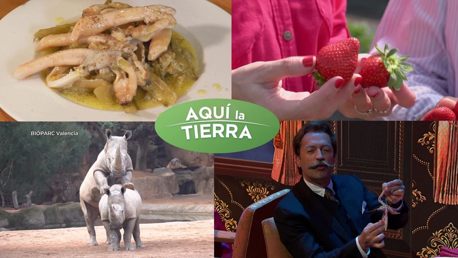 Aquí la Tierra - 15/04/24 - ver ahora