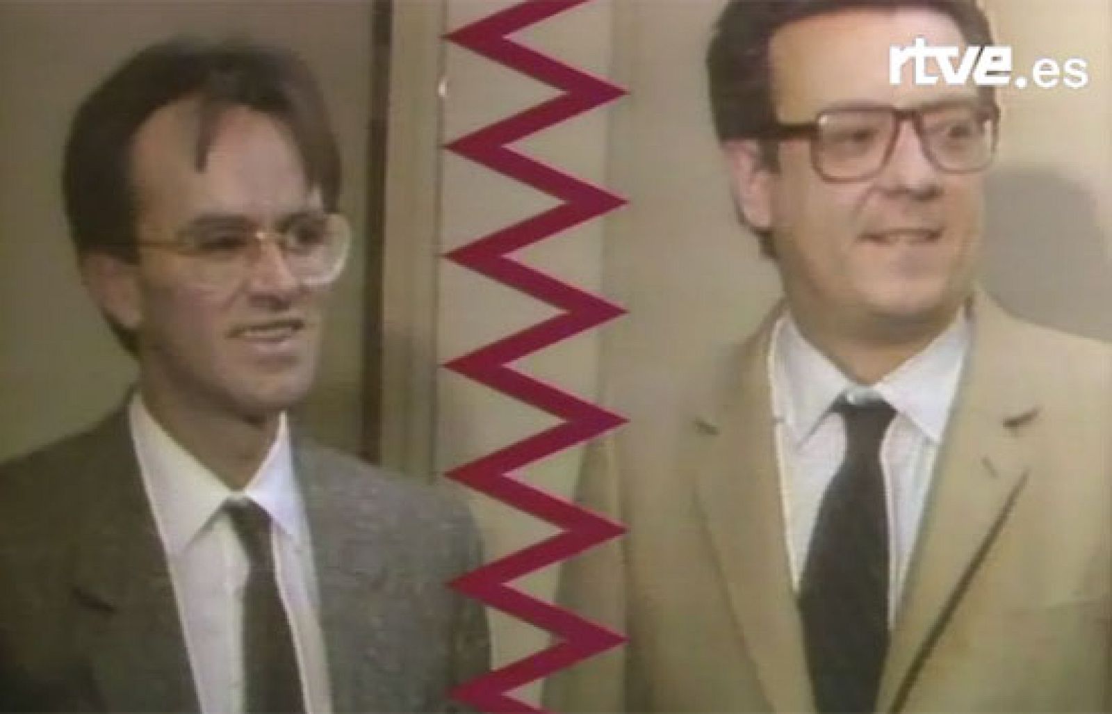 Herndández Mancha vs Herrero de Miñón (1987)