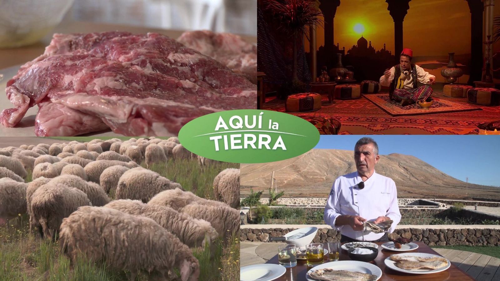 Aquí la Tierra - 16/04/24 - ver ahora