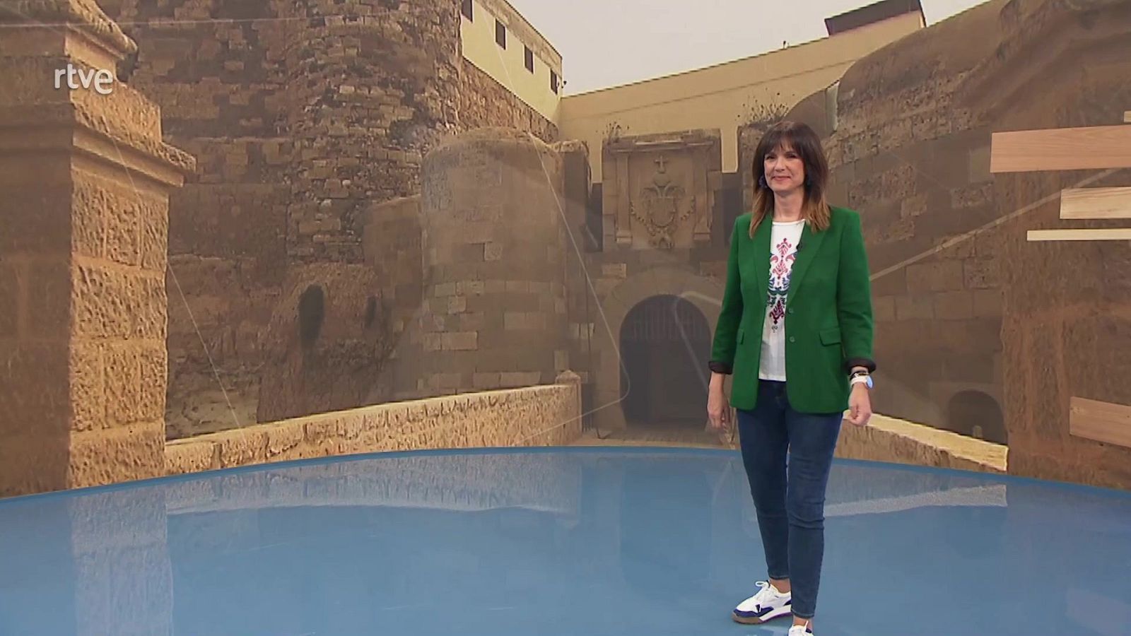 Ahora o nunca - Programa 313 - ver ahora