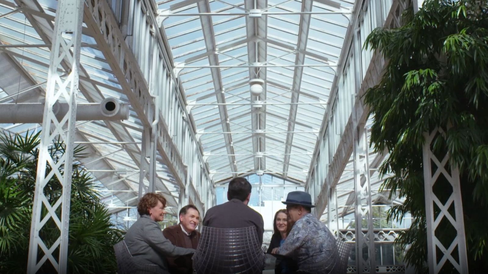 La matemática del espejo - Temporada 4 - Trasplantes - Ver ahora