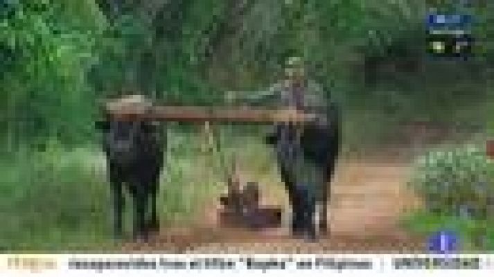 Telediario 1 - Reformas en Cuba