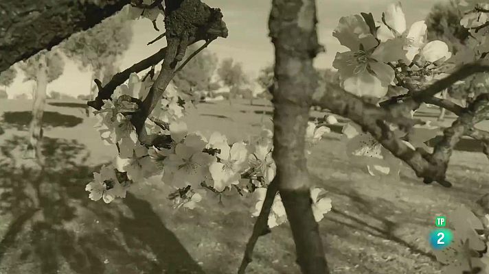 La aventura del Saber - Boek Visual: Marisa Maestre