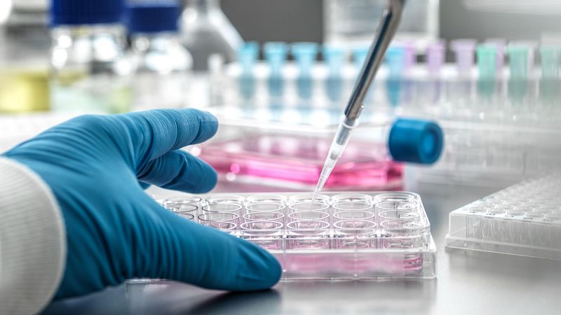 El CSIC ofrece prácticas para jóvenes de zonas vulnerables | Ver