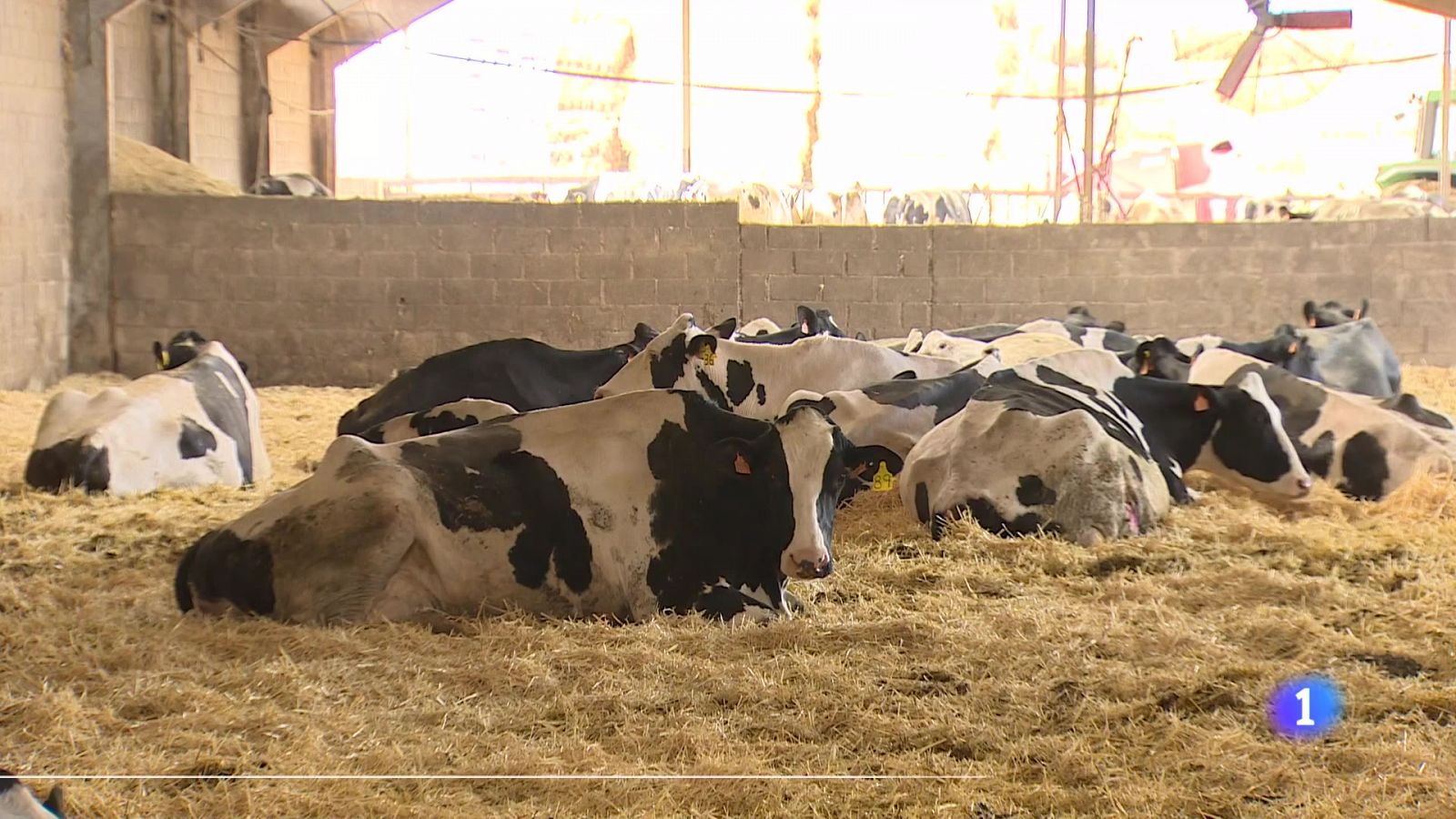 Informativo Telerioja  - 18/04/24 - Informativo Telerioja | Ver