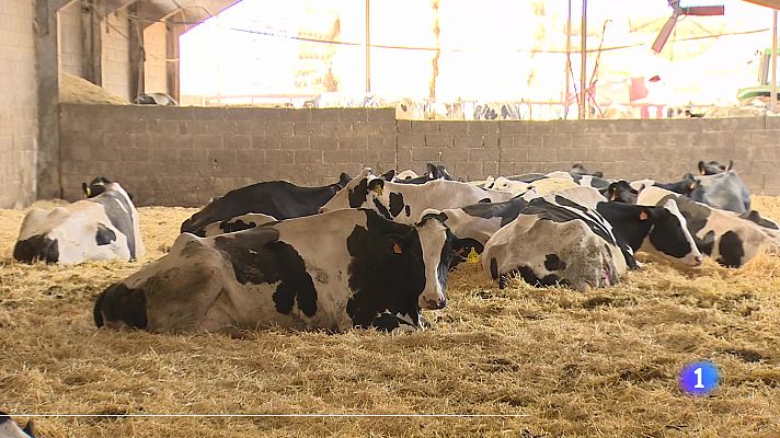 Informativo Telerioja - Informativo Telerioja  - 18/04/24