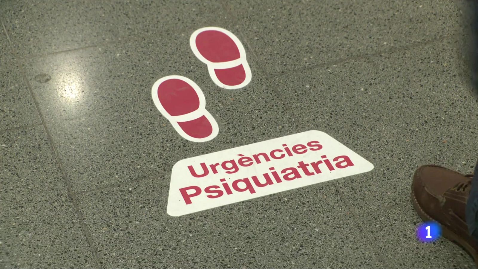 Els intents de suïcidi van augmentar un 50% després de la pandèmia - L'Informatiu | Veure