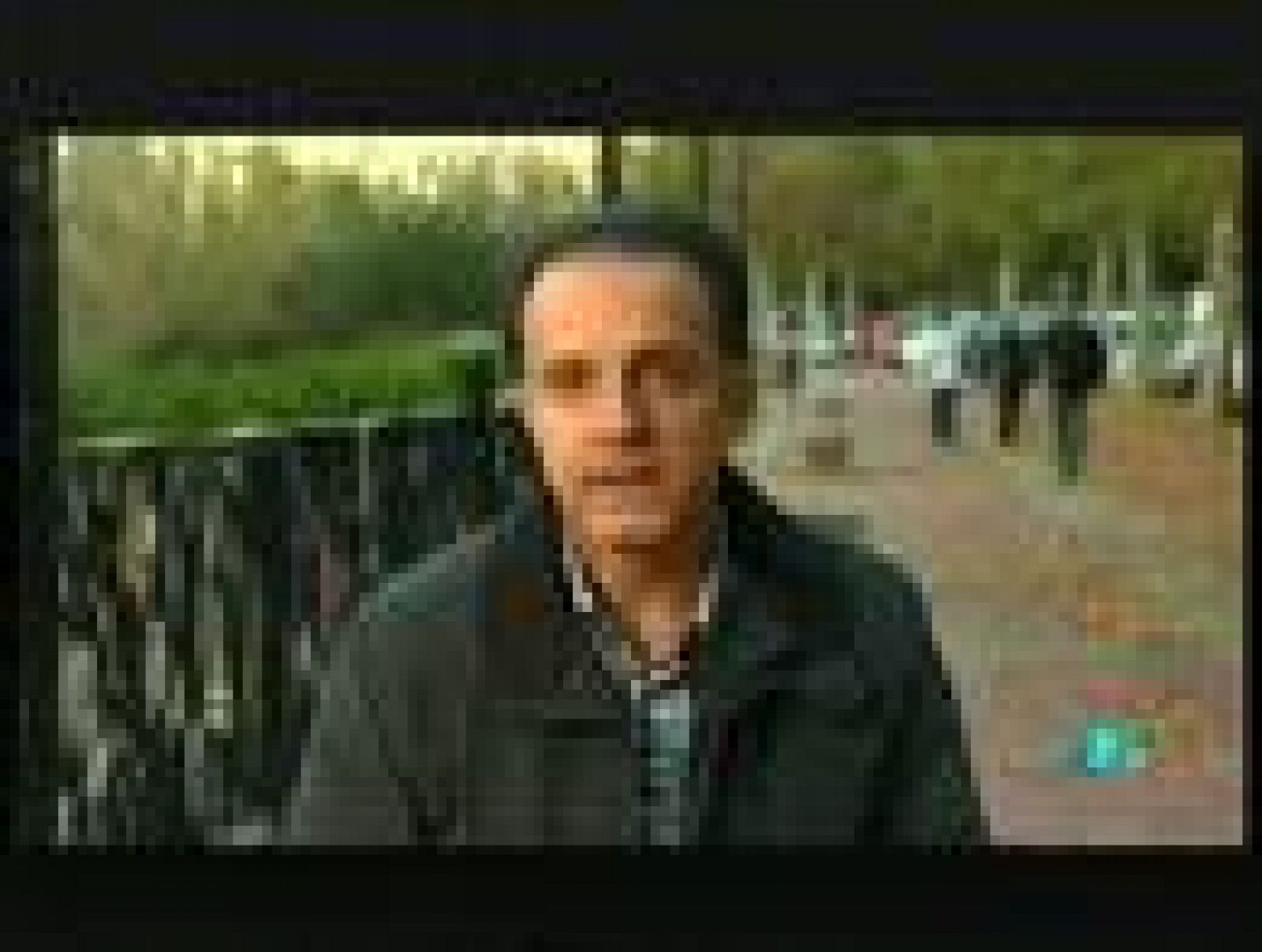 RTVE responde El archivo de TVE en RTVE.es RTVE Play