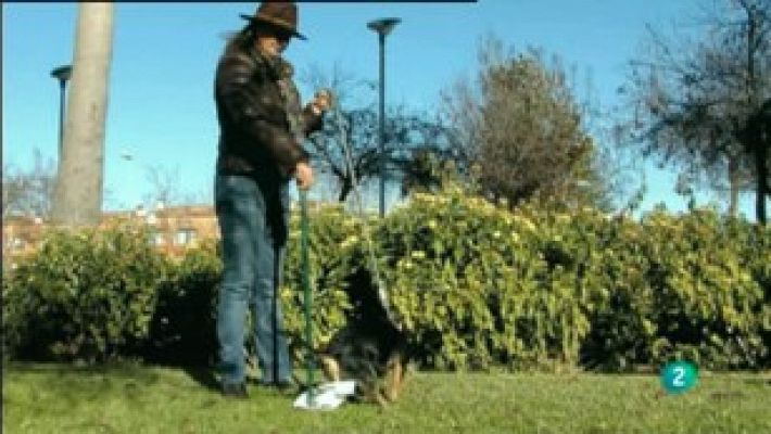 Fábrica de ideas - Inventa: Mi Can