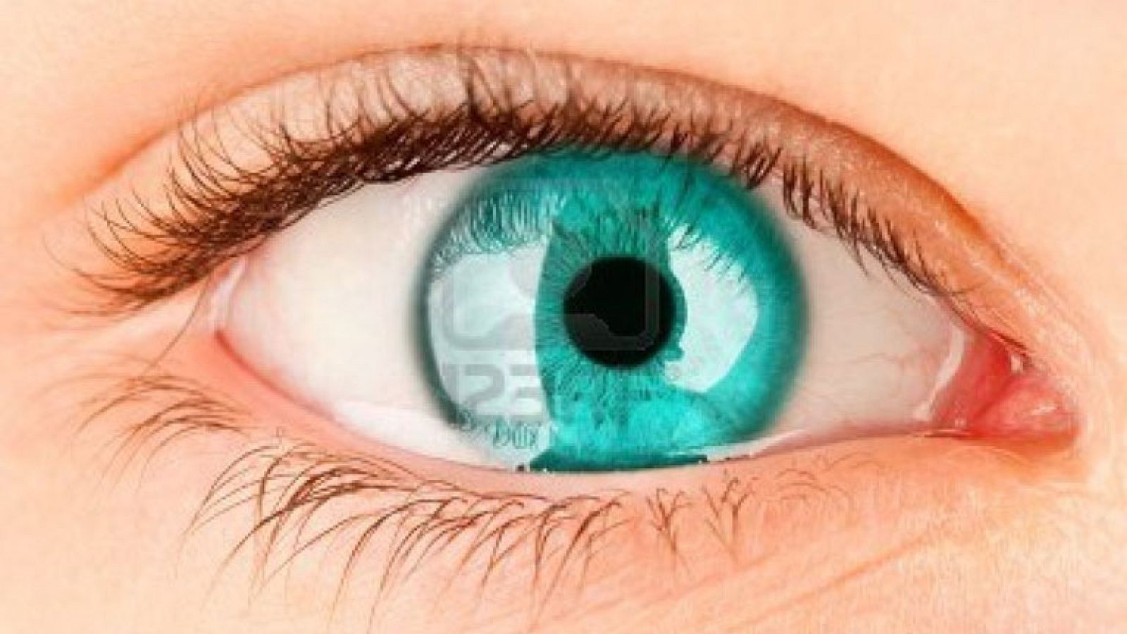 Saber vivir - El aspecto del ojo  - Ver ahora