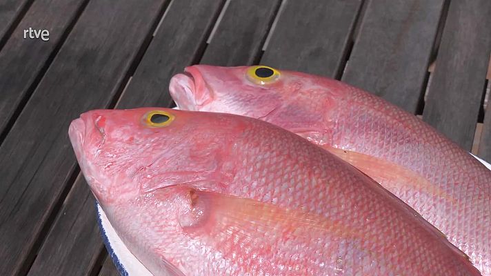 Aquí la Tierra - Aquí la Tierra - 19/04/24