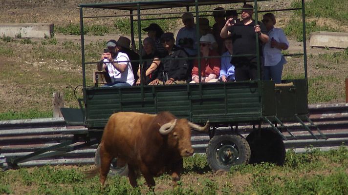 Tendido cero - Tendido Cero - 20/04/24