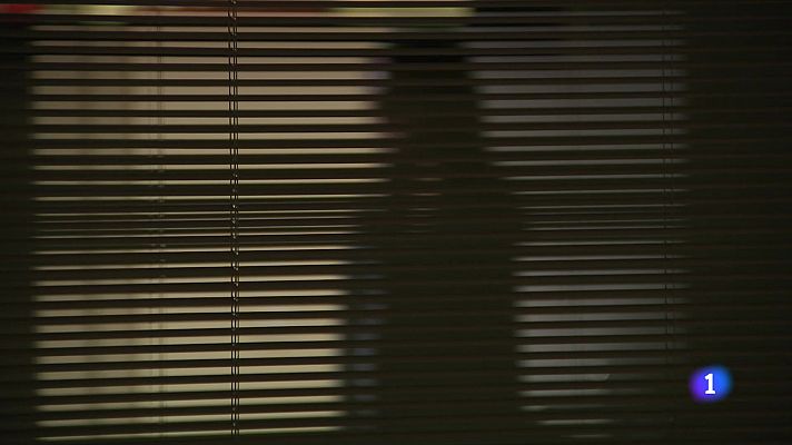 L'Informatiu - Sentència pionera per prevenir la violència vicària