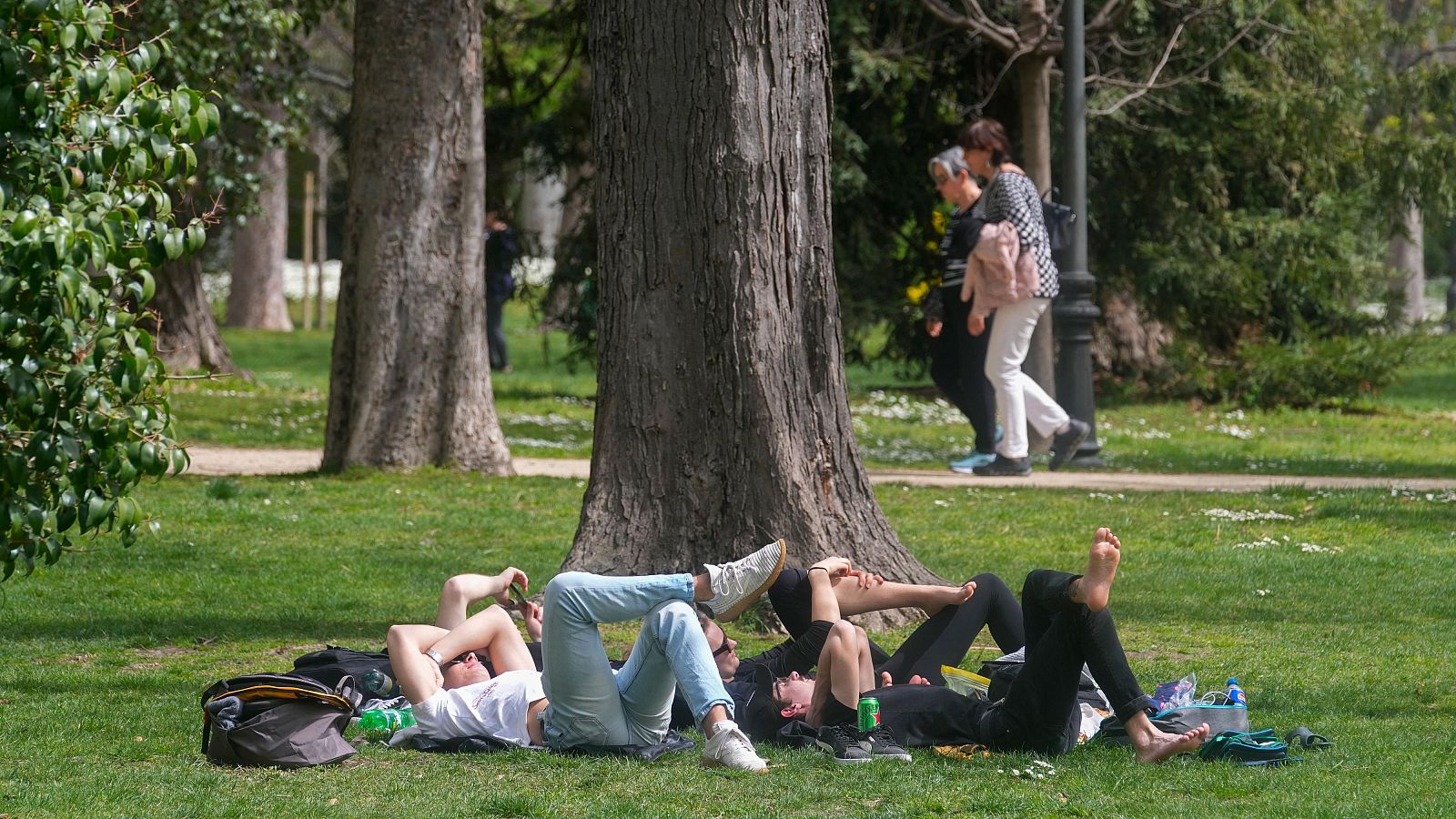 Europa batió récords de temperaturas | Ver