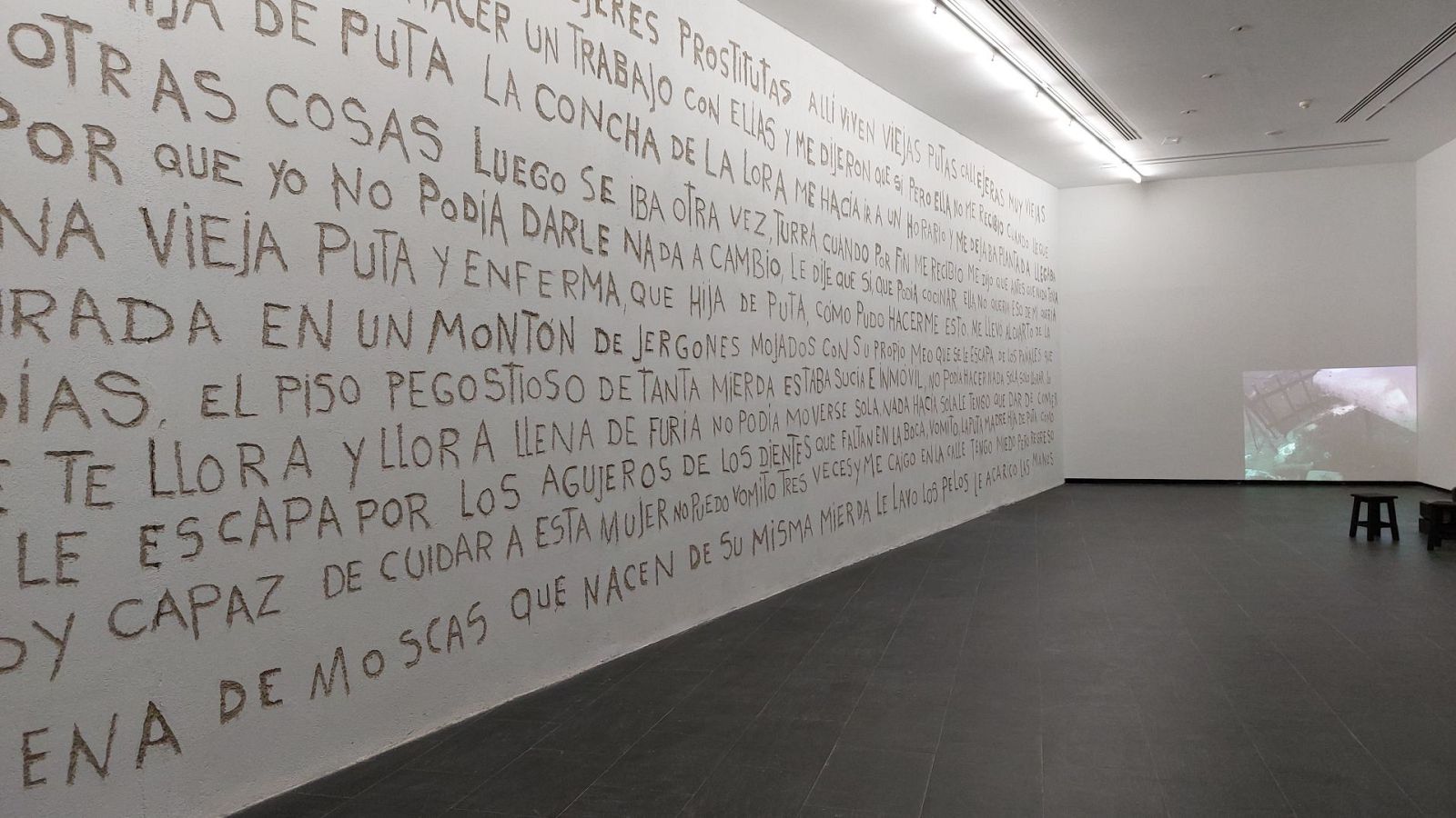 Metrópolis - Ana Gallardo - ver ahora