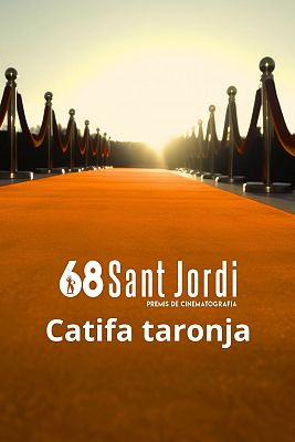 Catifa taronja