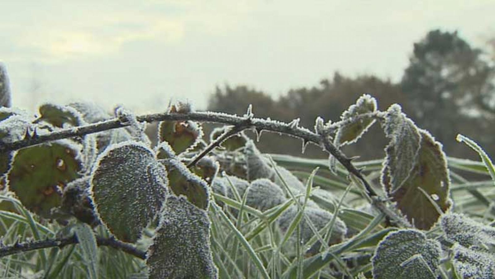 El tiempo: Lluvias débiles en el Cantábrico | RTVE Play