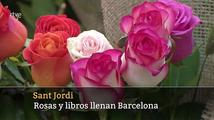 Diario 24 - Diario 24 - 23/04/24