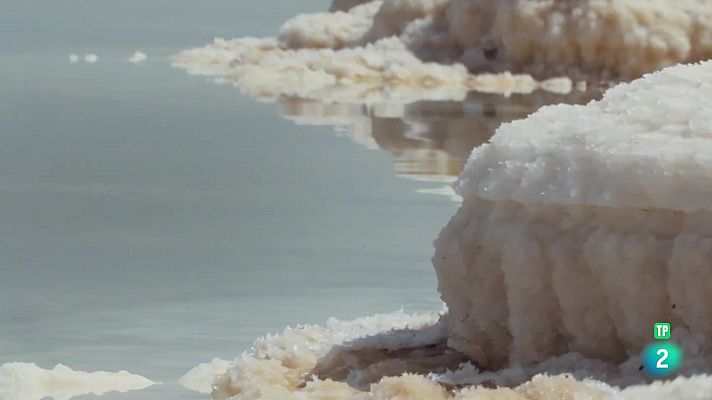 La aventura del Saber - Noticiero Científico y Cultural Iberoamericano