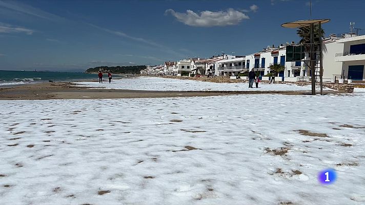 Estampa blanca al Tarragonés després de la forta calamarsada