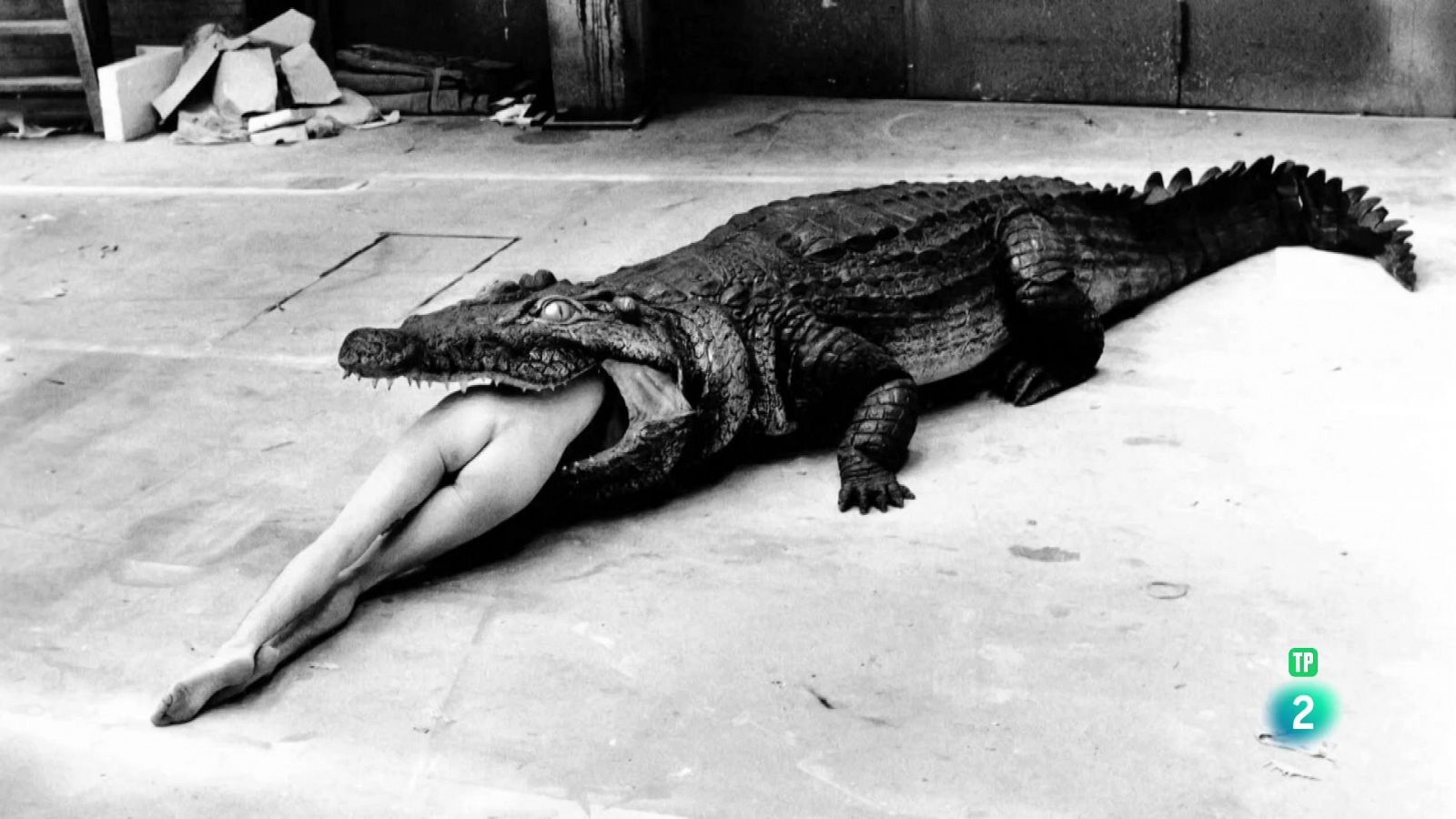 Helmut Newton. Fact and Fiction | Ver