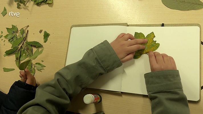 Va de verd - Fes el teu herbari, senzill i creatiu