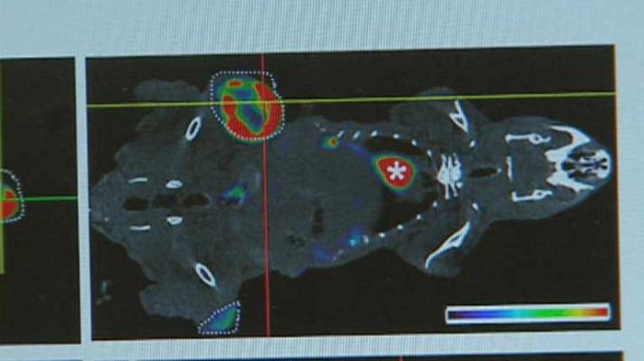 Telediario 1 - Descubrimiento de científicos