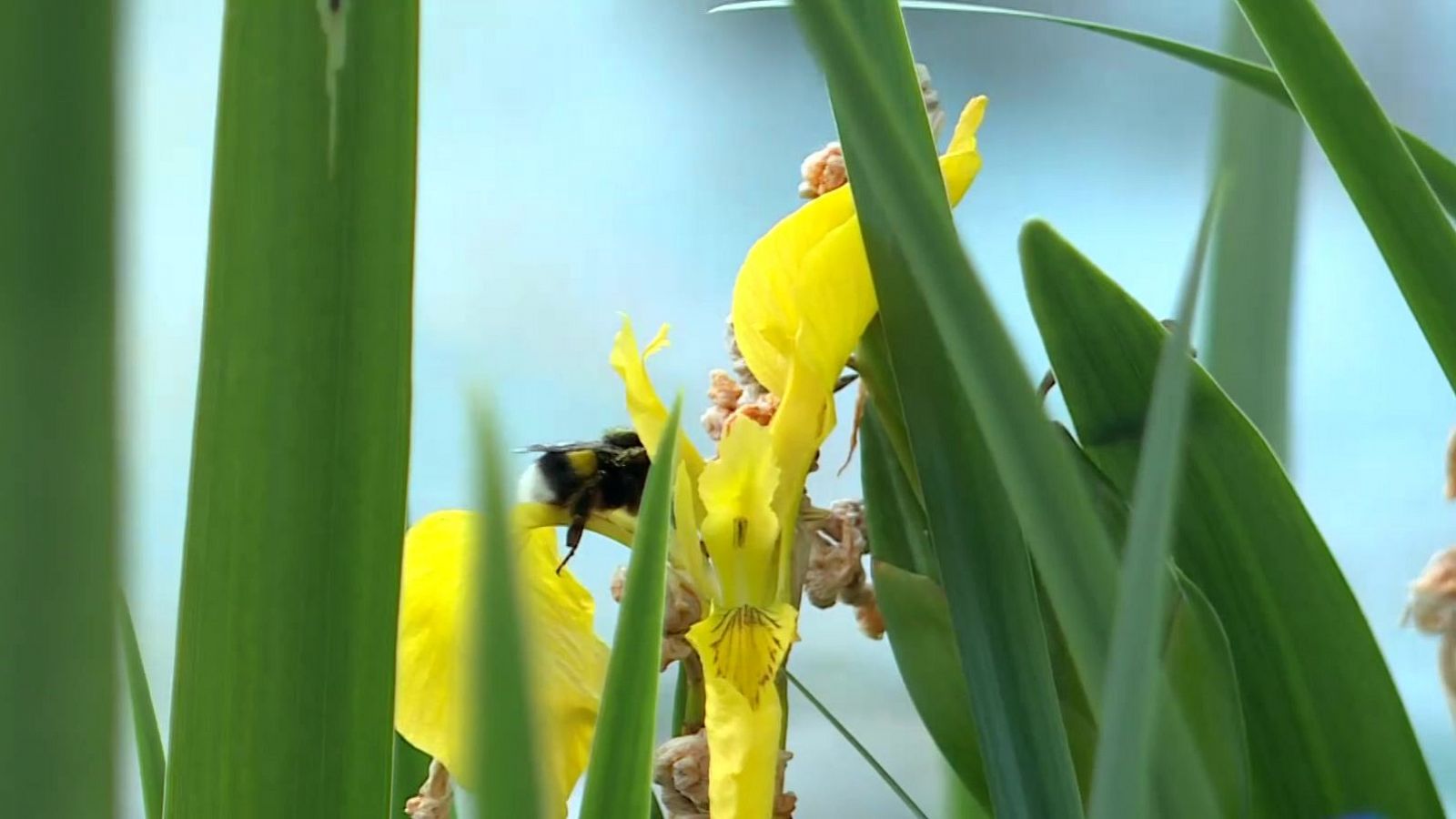 L'àrea mediterrània és una de les regions més vulnerables al canvi climàtic - L'informatiu - Comunitat Valenciana | Ver